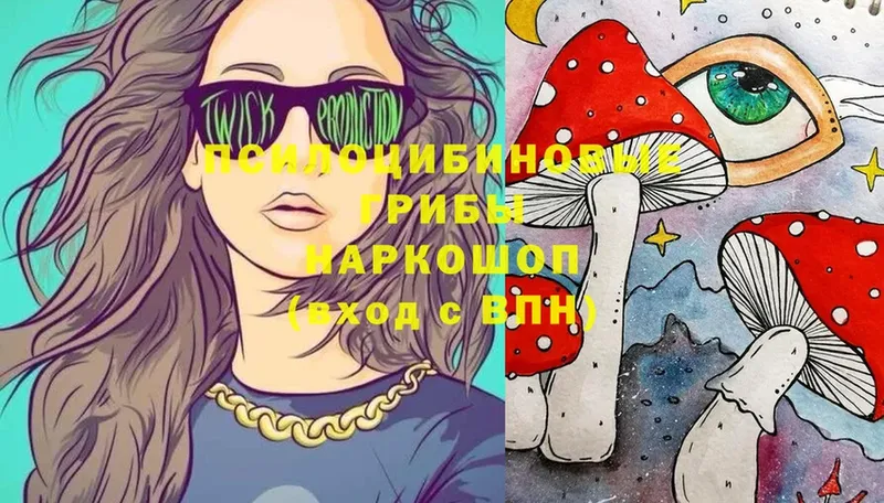 mega как войти  Нижнекамск  Псилоцибиновые грибы Psilocybe 